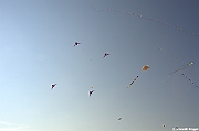 EUROCUP STACK 2011 CERVIA00007